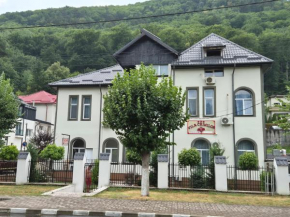 Vila Crinilor, Călimănești